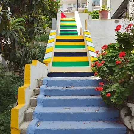 Homestay Terrace *